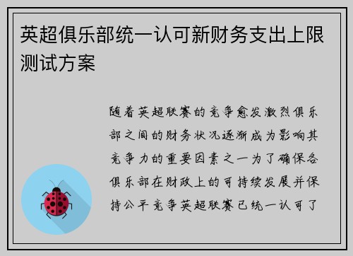 英超俱乐部统一认可新财务支出上限测试方案 英超俱乐部统一认可新财务支出上限测试方案
